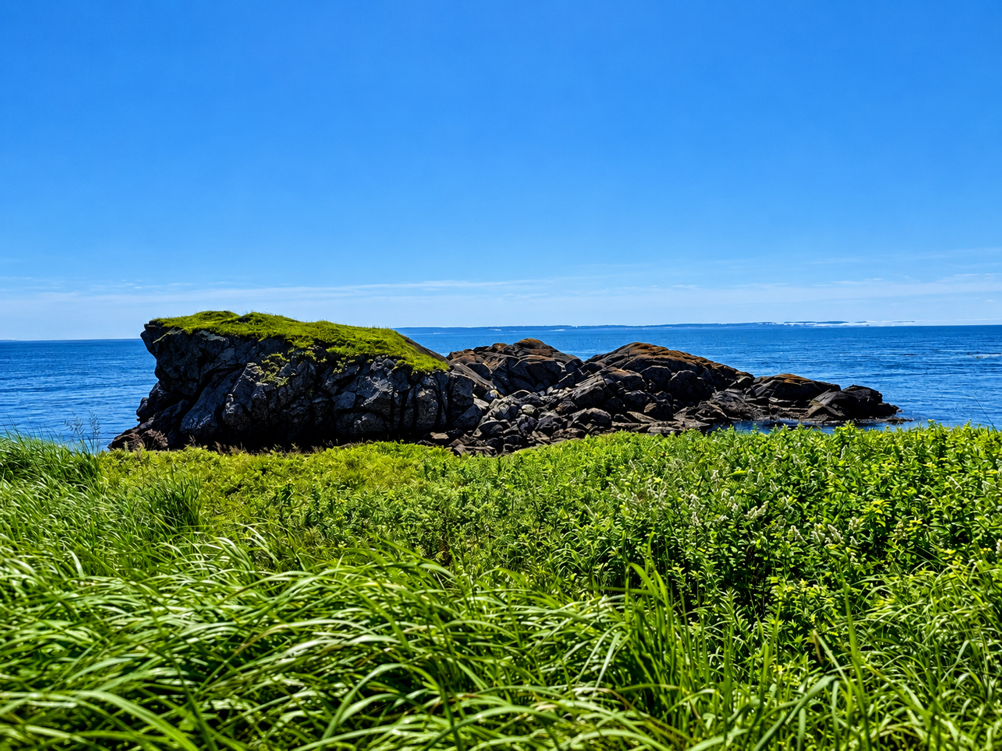 Grassy headland and dark coastal rocks along the blue water at Liberty Point