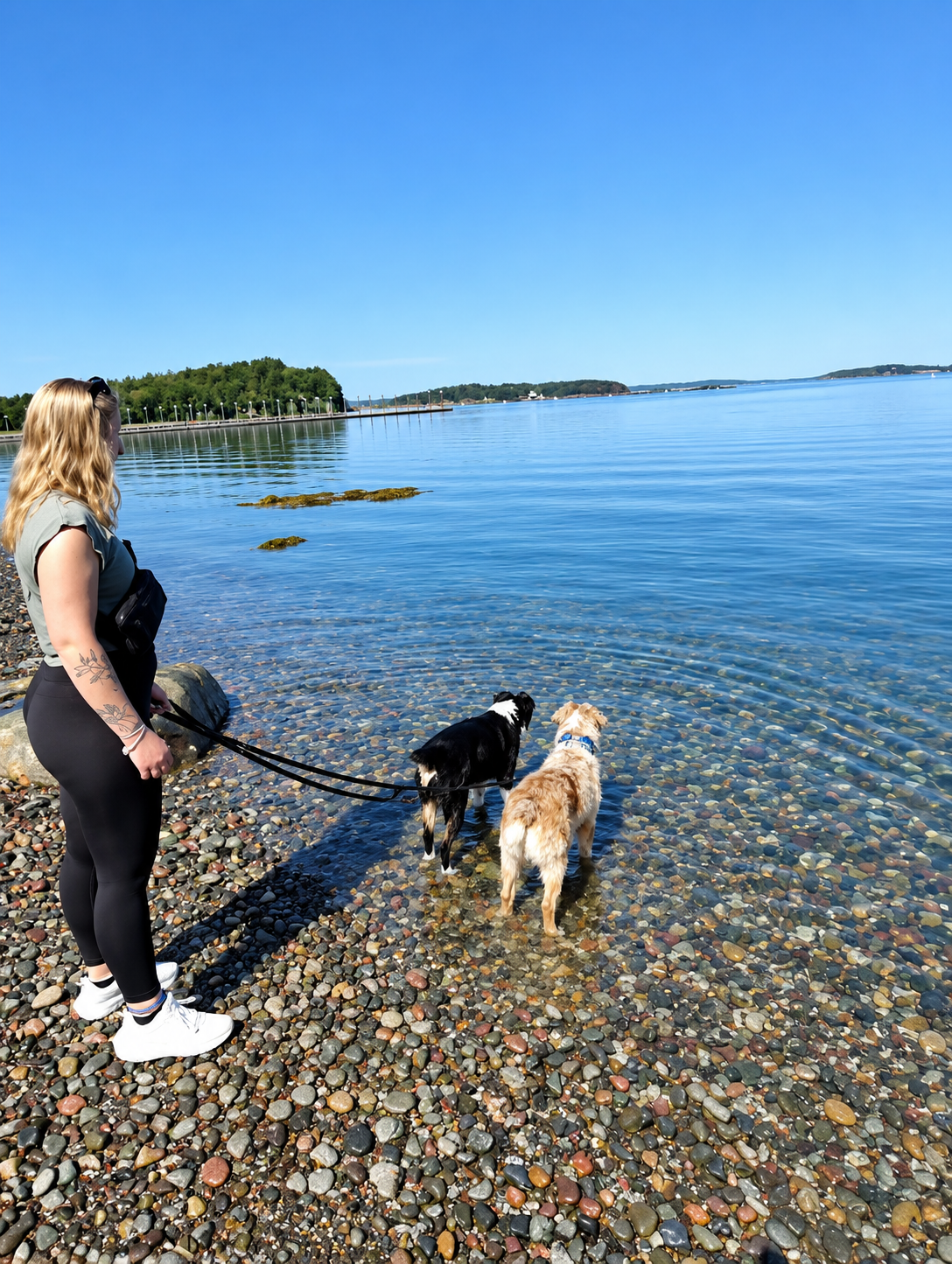 A woman standing with two dogs at the edge of clear water on a rocky Campobello Island shore