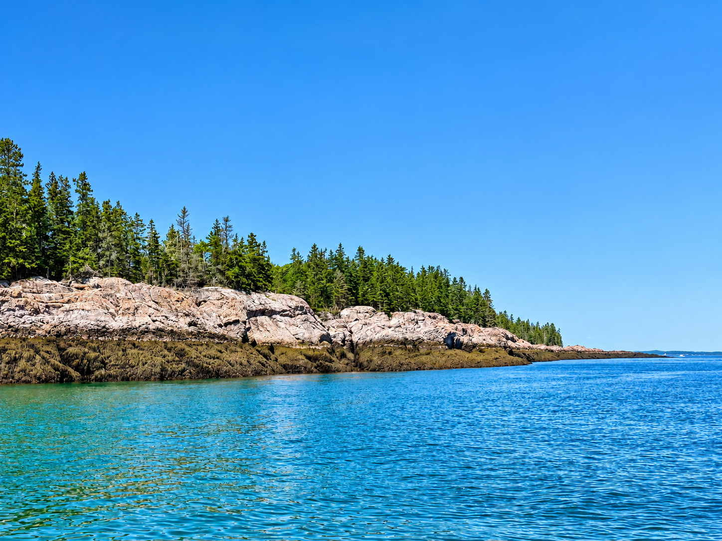 Rocky shoreline at Ile Spruce near Lubec, Maine