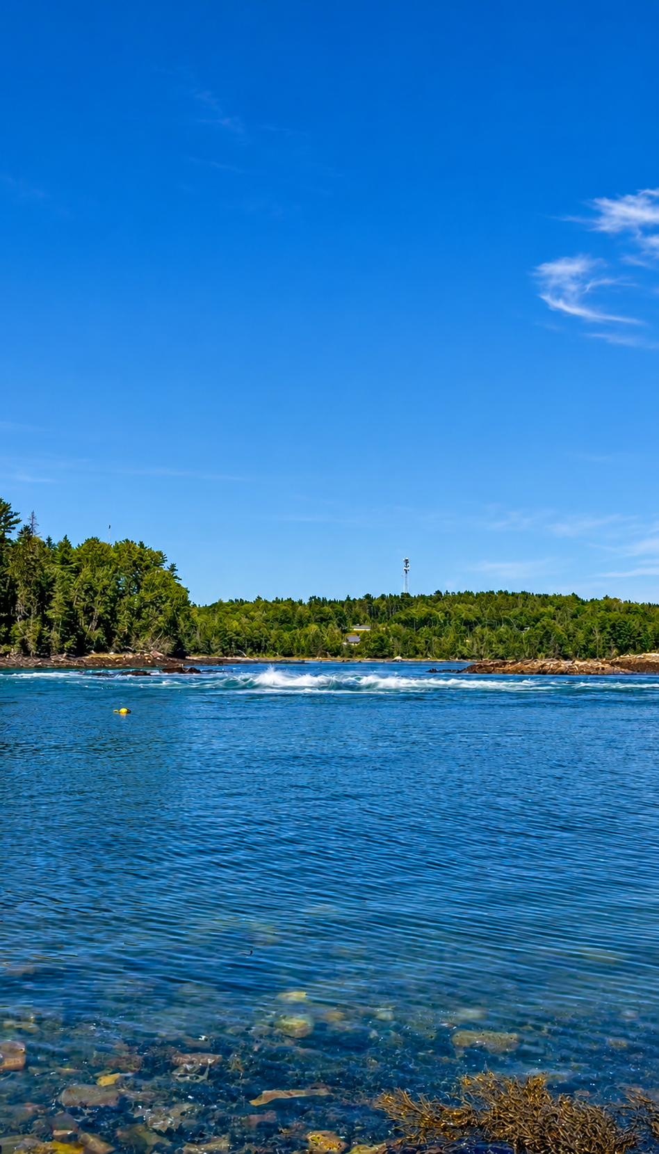 Reversing tide churning through the narrow channel at Tidal Falls Preserve in Hancock, Maine