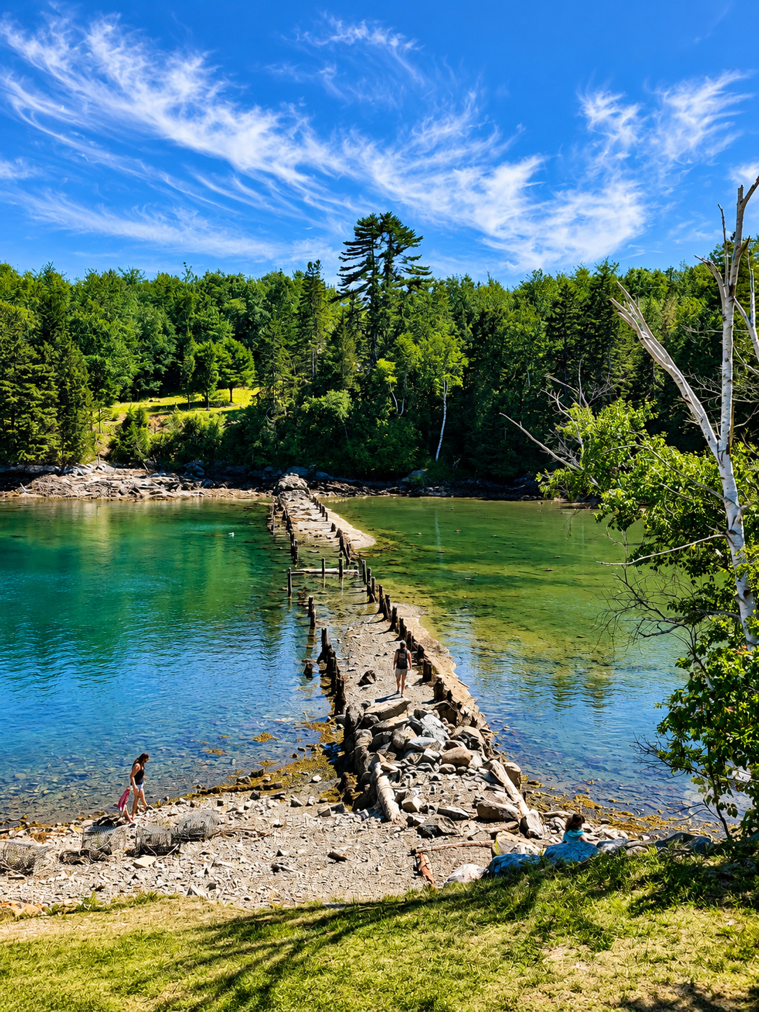 Remnants of a historic working waterfront at Tidal Falls Preserve along Mount Desert Narrows