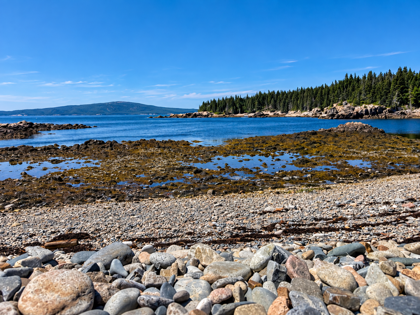 Rocky pebble beach with tidal pools, forested shoreline, and blue ocean at Schoodic Peninsula