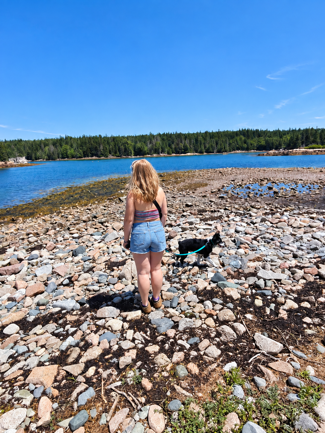Keely and Ripp exploring a rocky shoreline beside blue water on the Schoodic Peninsula